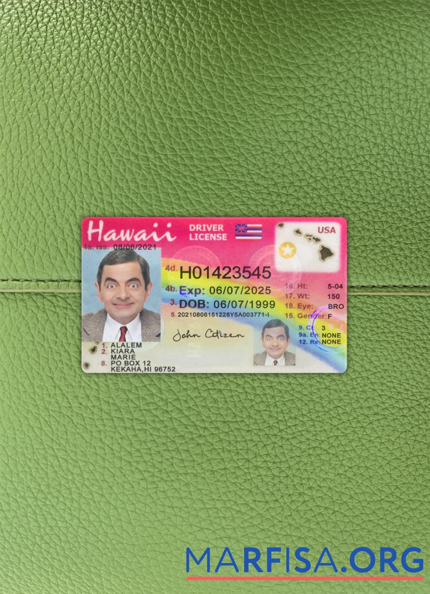 Printable USA Hawaii driving license 2021 present photolook download for verification